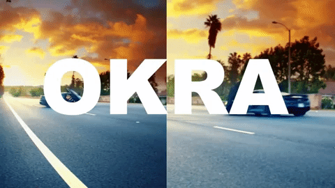 tyler the creator okra music video gif